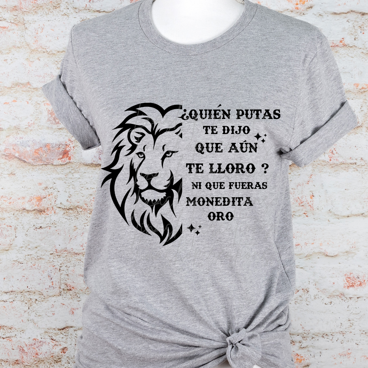 Segun Quien Diseño #2 Inspirado en Carin Leon y Maluma: camiseta, sudadera y sudadera con capucha con estilo